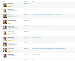 Wordpress Lead Generation Mailster