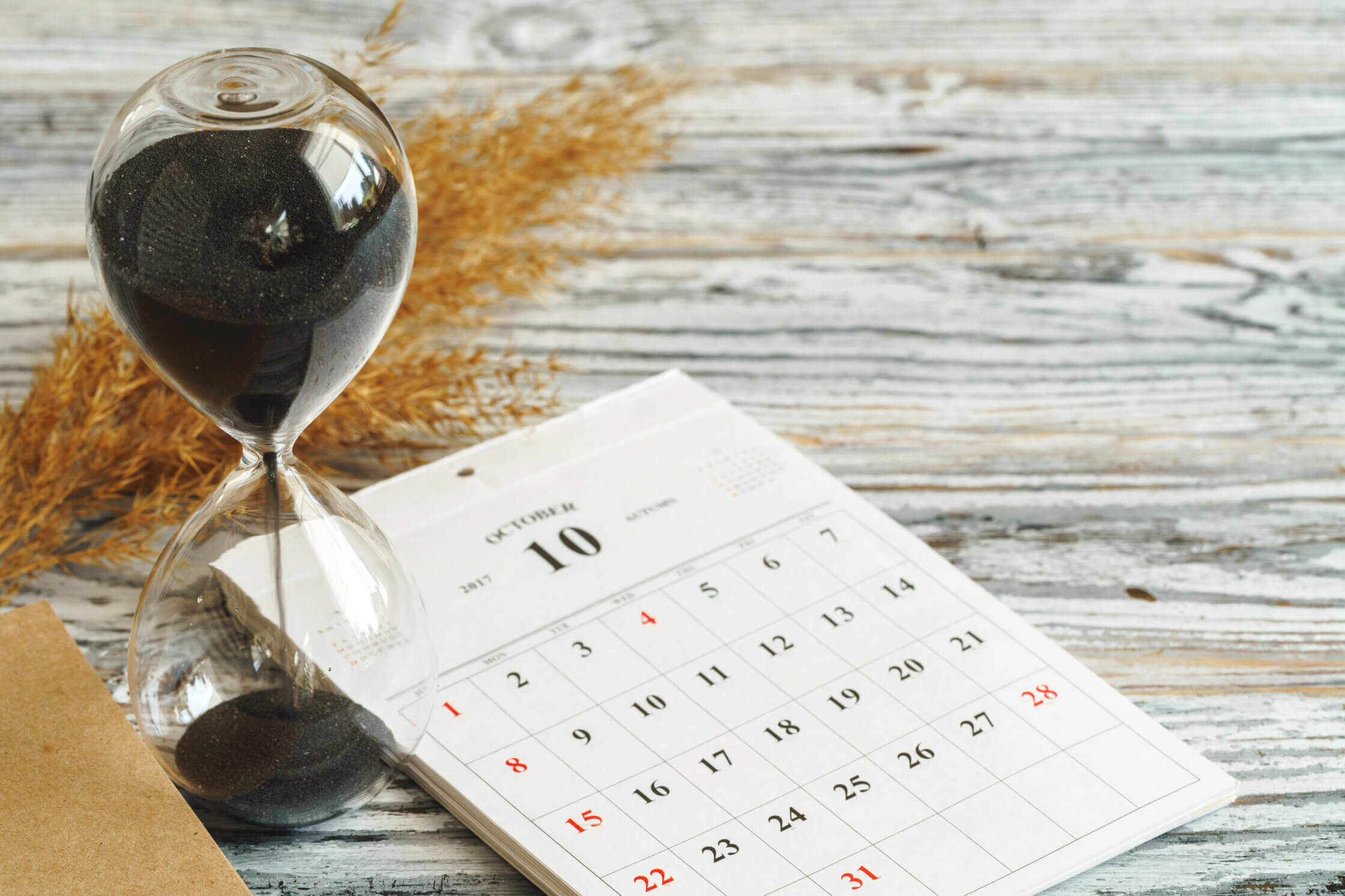 When Is The Best Time To Send A Newsletter Mailster