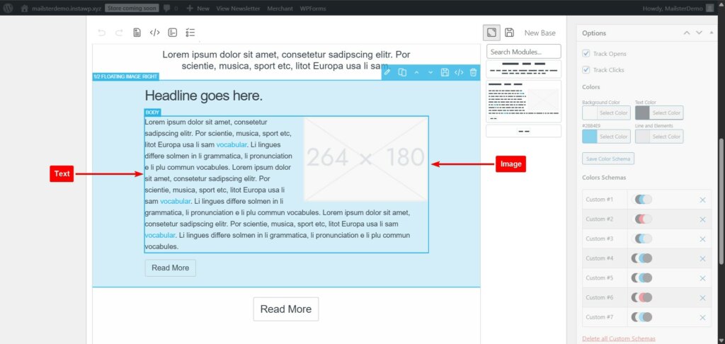 mailster email template adding text and images